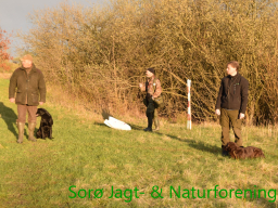 Hundetræning forår 2017